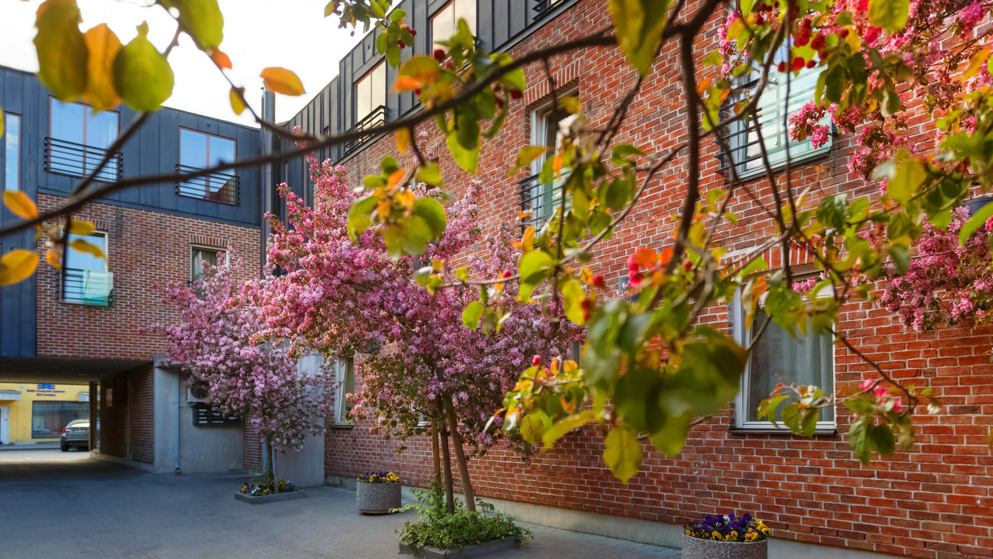 Bern Boutique By Rikas Hotels Talin Exterior foto